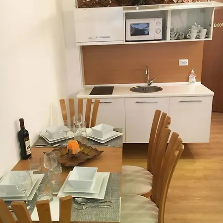 Sweet Homes 2 Big Studio Apartment Sunny Beach